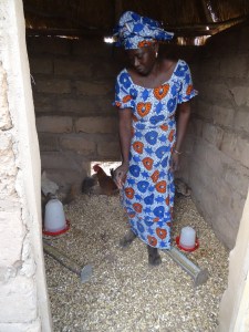 Fatou Aida nourissant les animaux +á l'int+®rieur de son poulailler