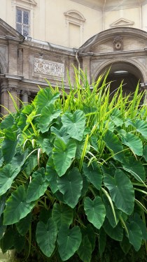 gemba-operae-partners (2)