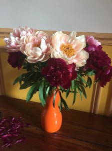 lean-competence-operae-partners