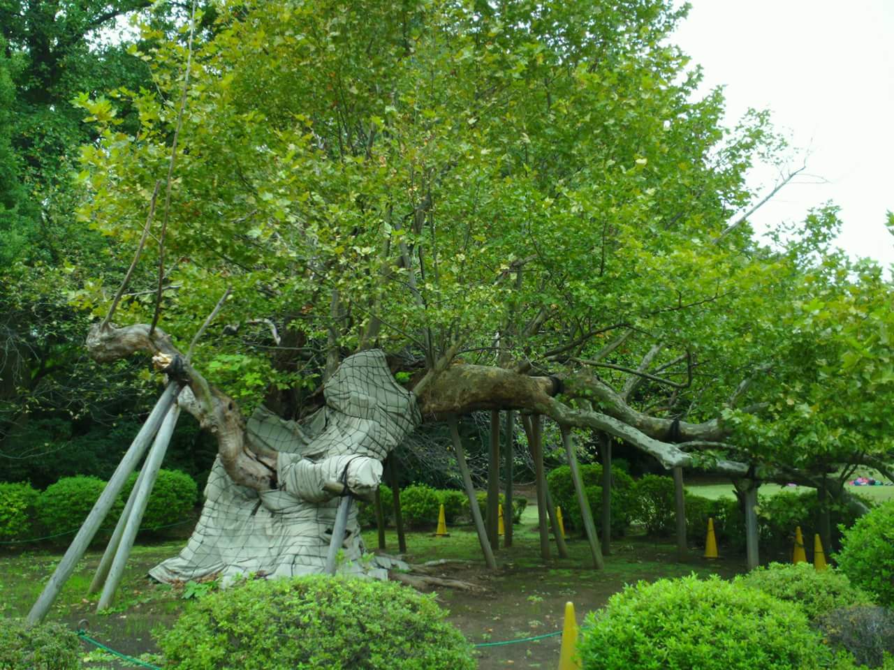 value-stream-lean-operae-partners