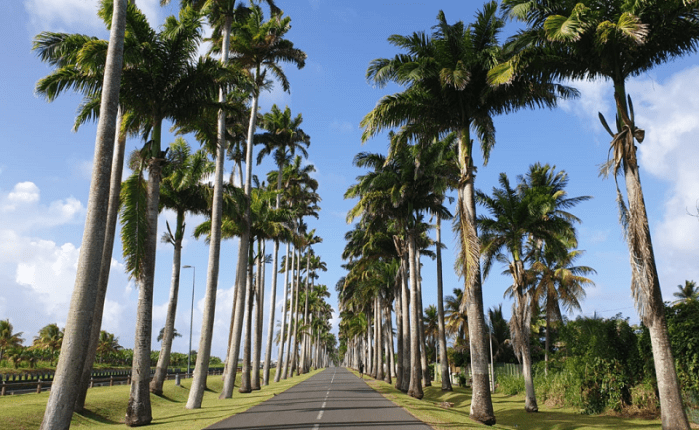 De l&rsquo;importance de donner du&nbsp;sens…