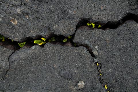 Pourquoi se faire certifier Green Belt quand on travaille dans l&rsquo;IT&nbsp;?