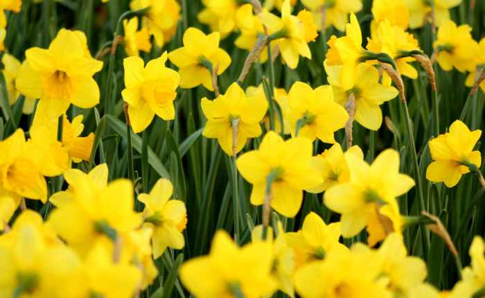 Jeu d&rsquo;initiation au Lean : retour en présentiel le 7 avril 2022&nbsp;!